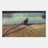 Driftwood Rechthoekige Sticker (Voorkant)