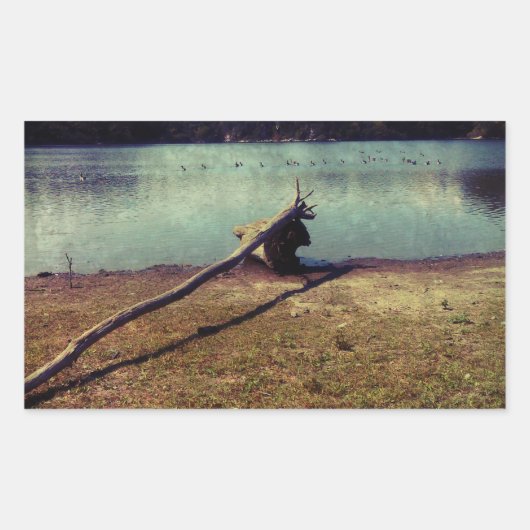 Driftwood Rechthoekige Sticker (Voorkant)