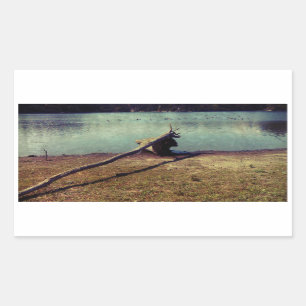 Driftwood Rechthoekige Sticker