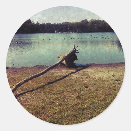 Driftwood Ronde Sticker (Voorkant)