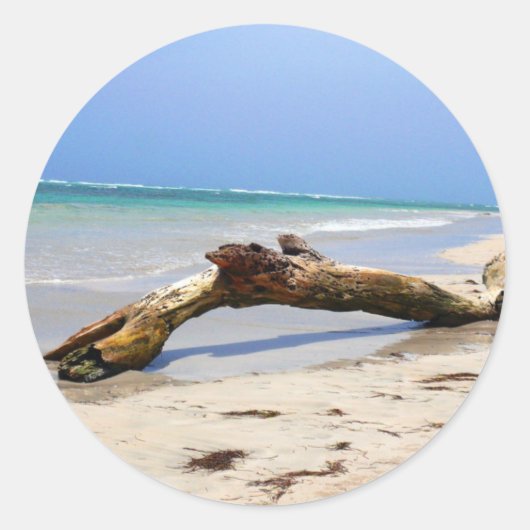 Driftwood Ronde Sticker (Voorkant)
