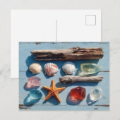 Driftwood Seashells Starfish and Sea Glass Briefkaart (Voorkant / Achterkant)