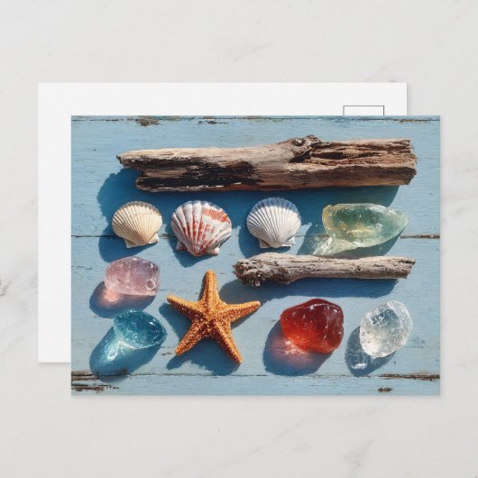 Driftwood Seashells Starfish and Sea Glass Briefkaart (Voorkant / Achterkant)