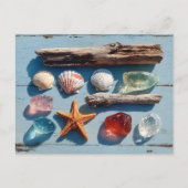 Driftwood Seashells Starfish and Sea Glass Briefkaart (Voorkant)