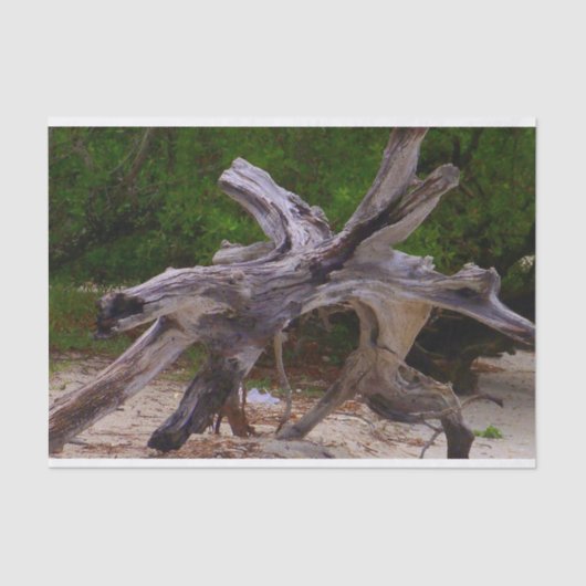 Driftwood Tissuepapier (Voorkant)