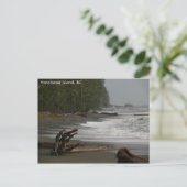 Driftwood Vancouver Island, BC Briefkaart (Staand voorkant)