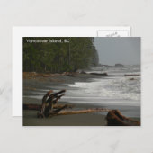 Driftwood Vancouver Island, BC Briefkaart (Voorkant / Achterkant)