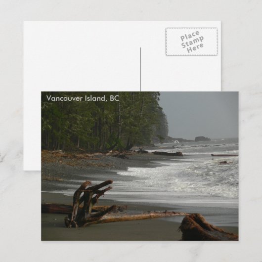 Driftwood Vancouver Island, BC Briefkaart (Voorkant / Achterkant)