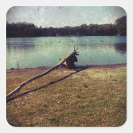 Driftwood Vierkante Sticker