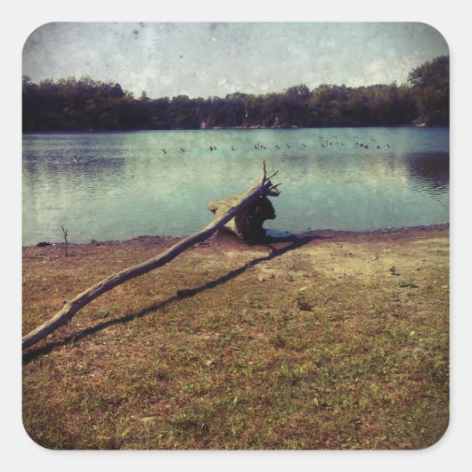 Driftwood Vierkante Sticker (Voorkant)
