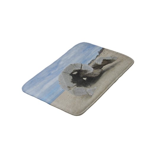 Driftwood voor de kust van de Stille Oceaan van Ca Badmat (Gekanteld)