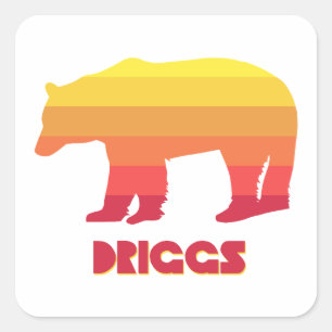 Driggs Idaho Rainbow Beer Vierkante Sticker