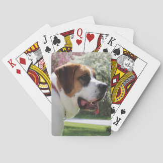 Drijfboompenkaarten Pokerkaarten