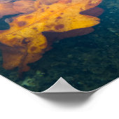 Drijfherfstbladeren Poster (Hoek)