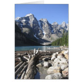 Drijfhout, blanco Wenskaart (Voorkant)