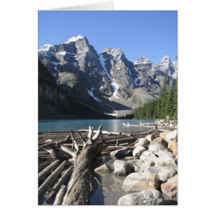 Drijfhout, blanco Wenskaart