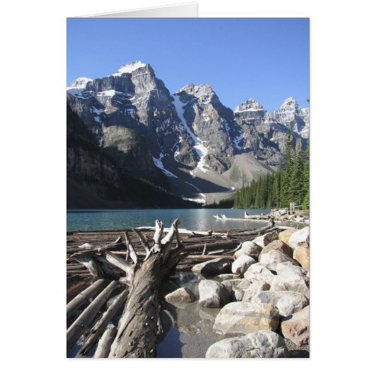 Drijfhout, blanco Wenskaart (Voorkant)