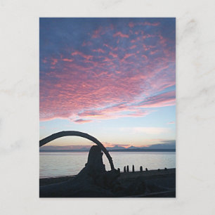 Drijfhout Boog Zonsondergang Briefkaart