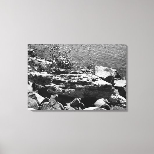 Drijfhout Canvas Afdruk (Voorkant)