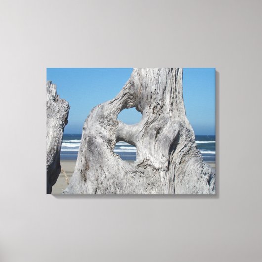 Drijfhout Canvas Fotografie afdrukken Kust (Voorkant)