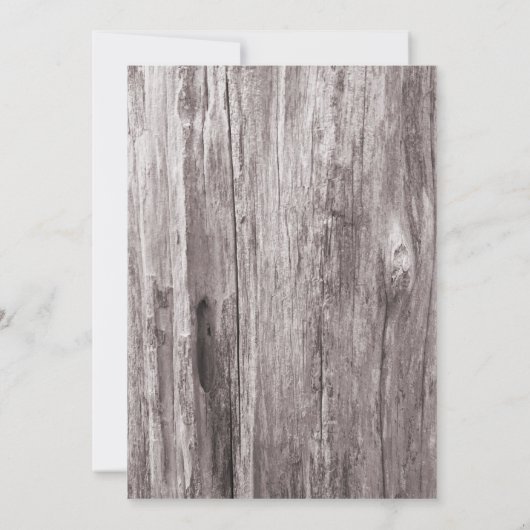 Drijfhout en riddervis kaart (Achterkant)