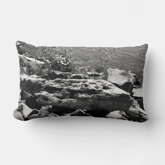 Drijfhout Kussen (Voorkant)