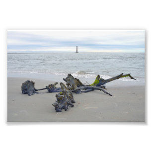 Drijfhout, Morris Island Lighthouse South Carolina Foto Afdruk