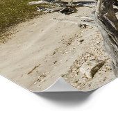 Drijfhout op de strand poster (Hoek)