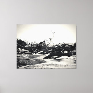 Drijfhout op een desolate strand canvas afdruk