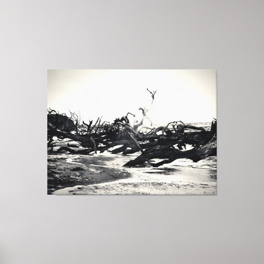 Drijfhout op een desolate strand canvas afdruk (Voorkant)
