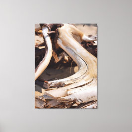 Drijfhout - Pictured Rocks National Lakeshore Canvas Afdruk