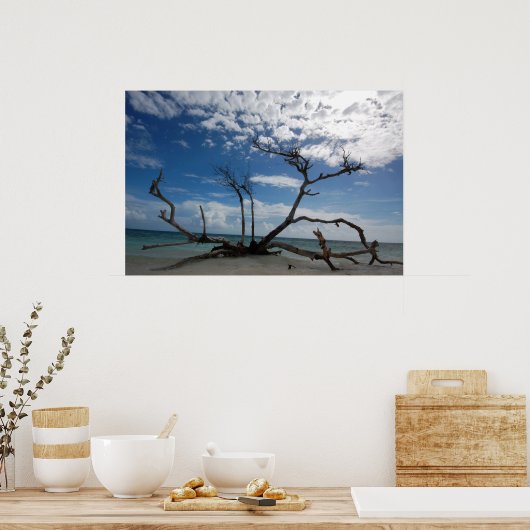 Drijfhout Poster (Keuken)