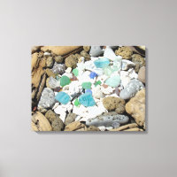 Drijfhout Rotsentuin Canvas kunst Schelpen Strand