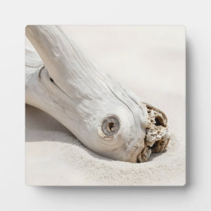Drijfhout Strand Hout Organisch Kust Minimalistisc Fotoplaat