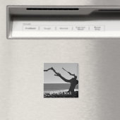 drijfhout strandmagneet magneet (Insitu (Vaatwasser))