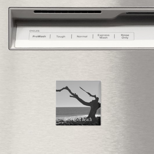 drijfhout strandmagneet magneet (Insitu (Vaatwasser))