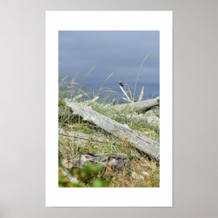 Drijfhout & verre eend ontwerp door COHOE13 Poster