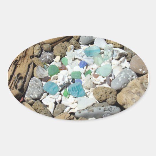 Drijfhout Zeeschelpen stickers Zee Glas Fossielen (Voorkant)