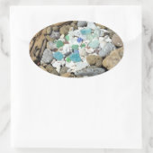 Drijfhout Zeeschelpen stickers Zee Glas Fossielen (Tas)