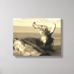 Drijfhoutstam Costa Rica Strand Foto  Canvas Afdruk
