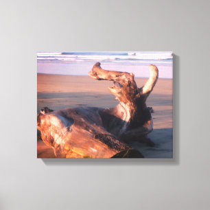 Drijfhoutstam Costa Rica Strand Foto Canvas Afdruk
