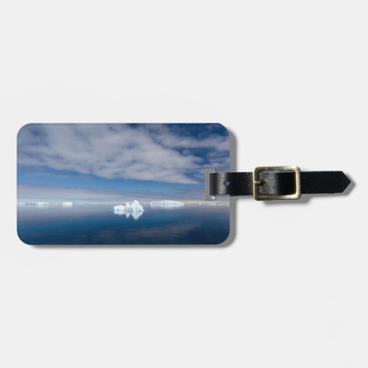 Drijfijs in Antarctica Bagagelabel (Voorkant horizontaal)