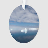 Drijfijs in Antarctica Ornament (voorkant)