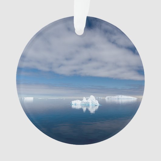 Drijfijs in Antarctica Ornament (voorkant)
