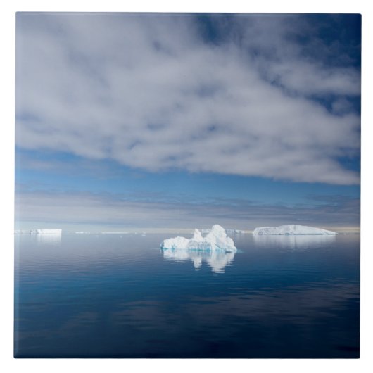 Drijfijs in Antarctica Tegeltje (Voorkant)