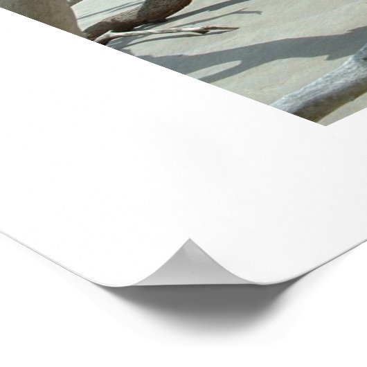 Drijft Poster (Hoek)