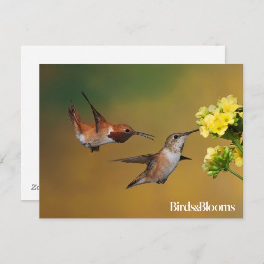 Drijfveer Briefkaart (Voorkant / Achterkant)