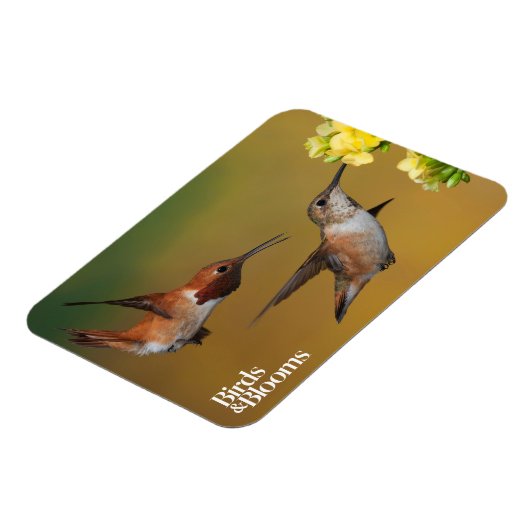 Drijfveer Magneet (Linkerzijde)