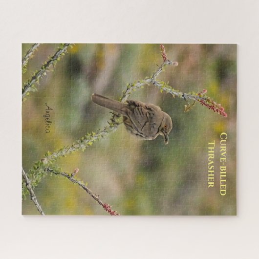 Drijfvogel met krommel op ocotillo legpuzzel (Horizontaal)