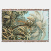 Drijgblank van Ernst Haeckel's Filicinae (Tree Fer Deken (Voorkant)